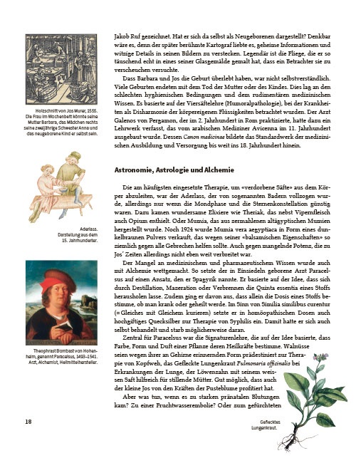 Jos Murer und der Murerplan
