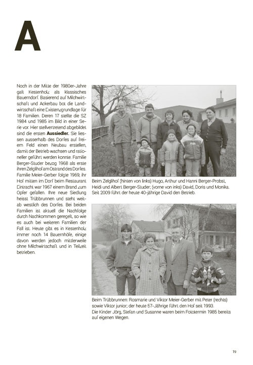 Der Kanton Solothurn im Bild 1980-1995