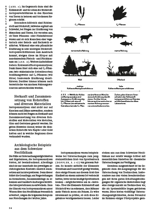 Lebensweisen in der Steinzeit