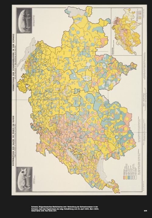 Mit 80 Karten durch die Schweiz