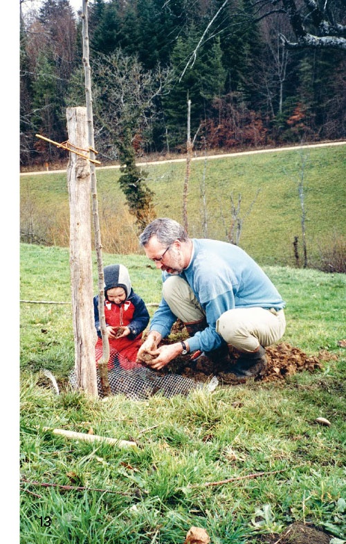 Stolze Kühe, krumme Rüebli