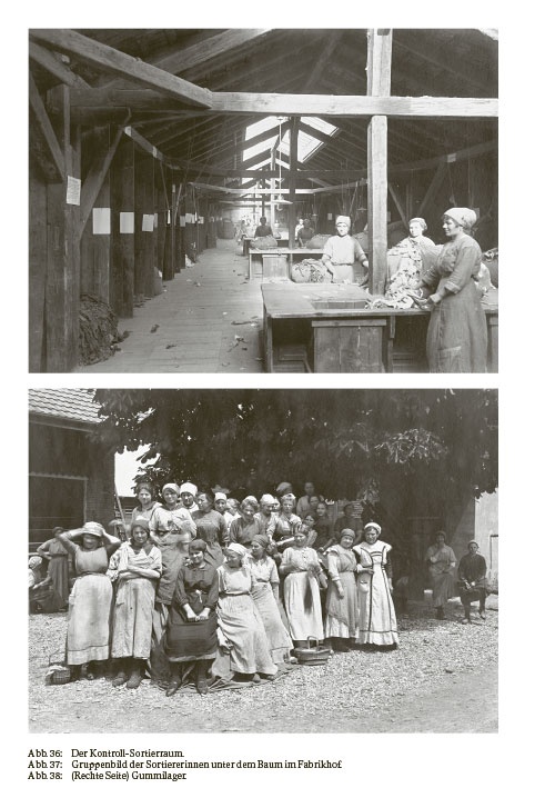 Der Basler Abfallkönig