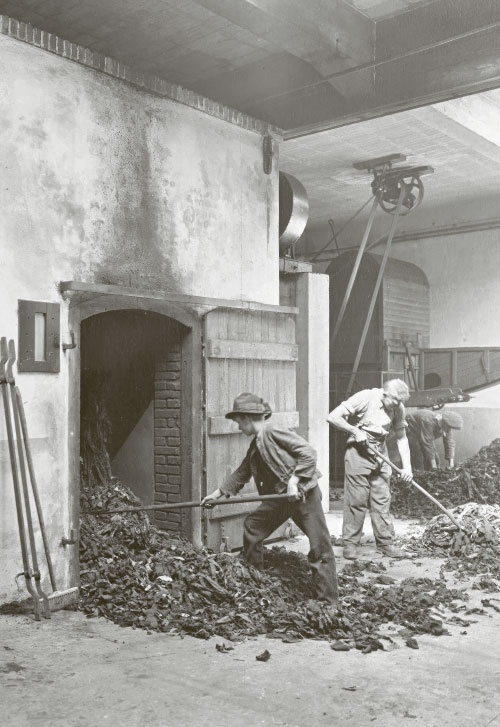 Der Basler Abfallkönig