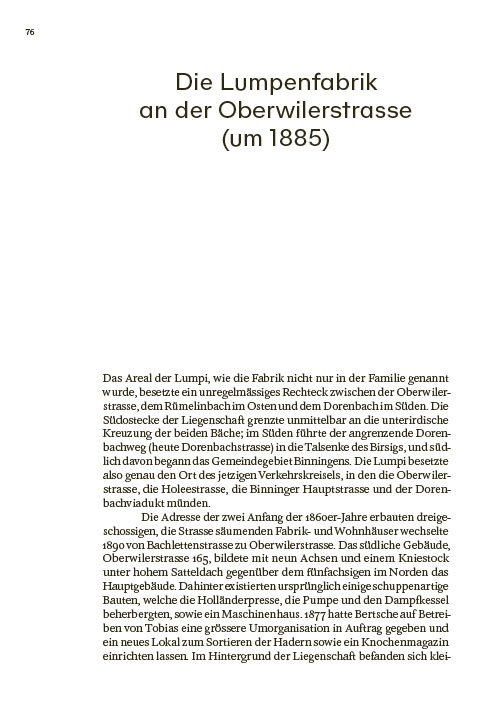 Der Basler Abfallkönig