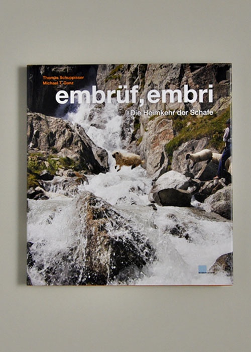 embrüf, embri