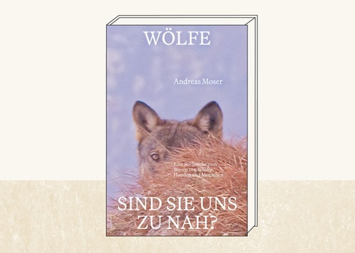 Wölfe – sind sie uns zu nah?