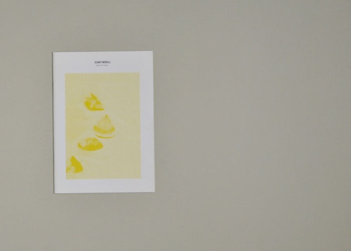 Sonntagsfreuden Nr. 9: Zunftmöhli