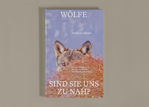 Wölfe – sind sie uns zu nah?