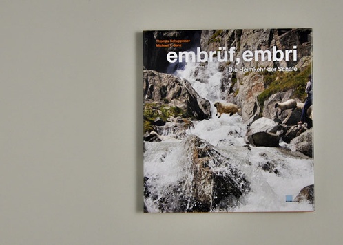 embrüf, embri
