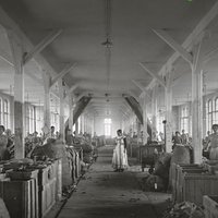 Buchvernissage: Basler Abfallkönig